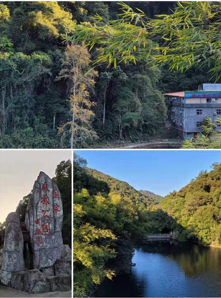 20210101河源第一高山(shān)桂山(shān)风景區(qū)+网红桥 入住纯天然温泉*荣佳國(guó)韵温泉度假村2天(图2) 20210101河源第一高山(shān)桂山(shān)风景區(qū)+网红桥 入住纯天然温泉*荣佳國(guó)韵温泉度假村2天(图2)